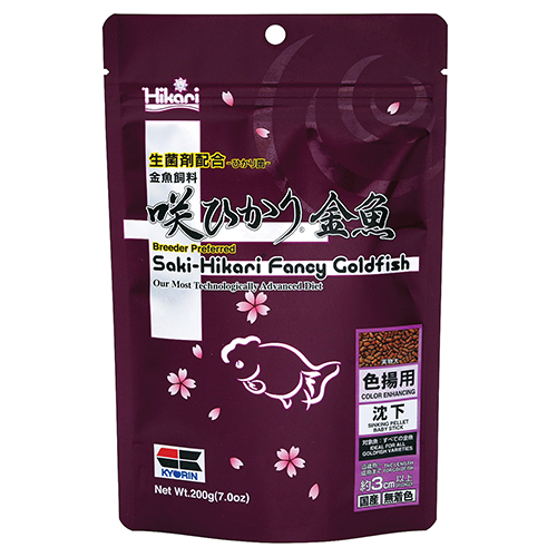 Saki-Hikari Fancy Goldfish Color – Produktbild auf weißem Hintergrund