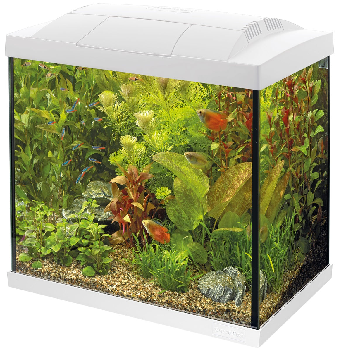 SuperFish Start 30 Tropical Kit Aquarium – 25 Liter