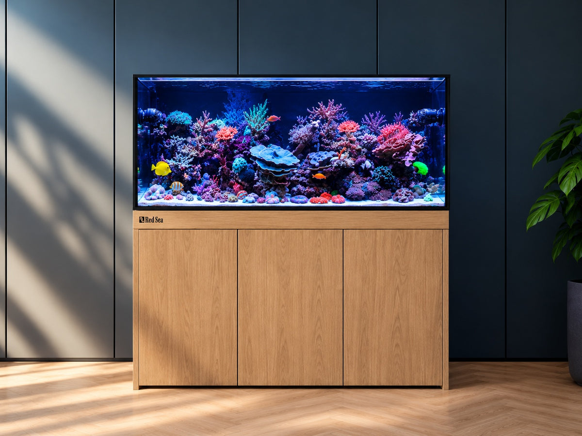 Red Sea Reef-Frame 500 Aquarium (R45427/R45428/R45429)