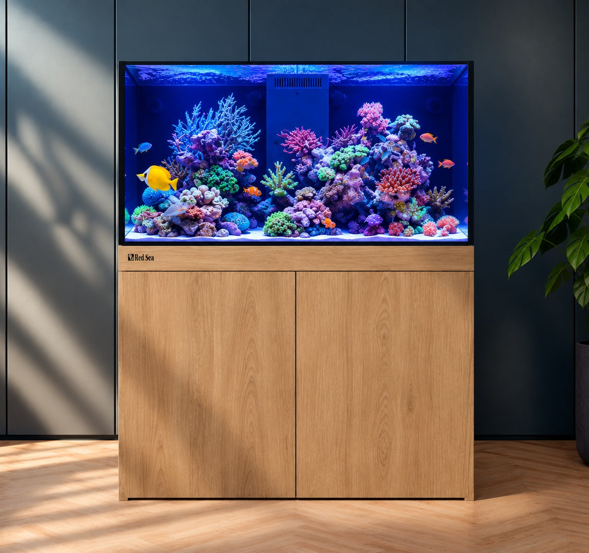 Red Sea Reef-Frame 250 Aquarium (R45408/R45409/R45410)