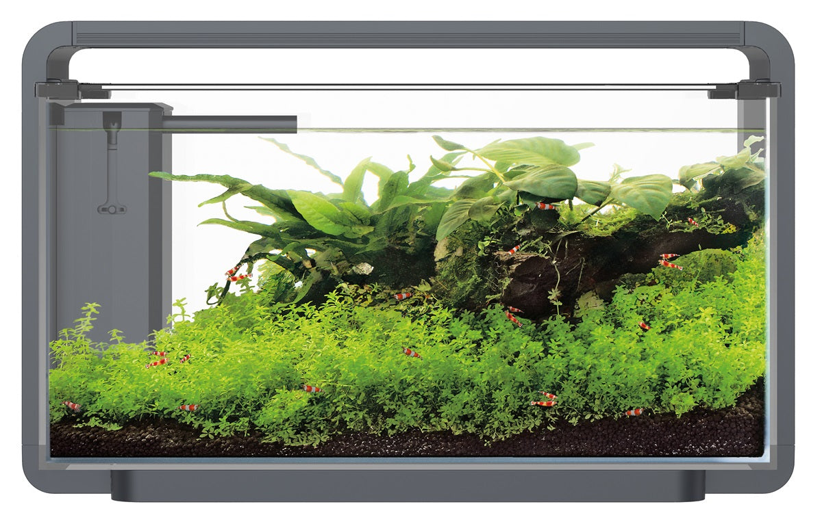 SuperFish Home ProLED 30