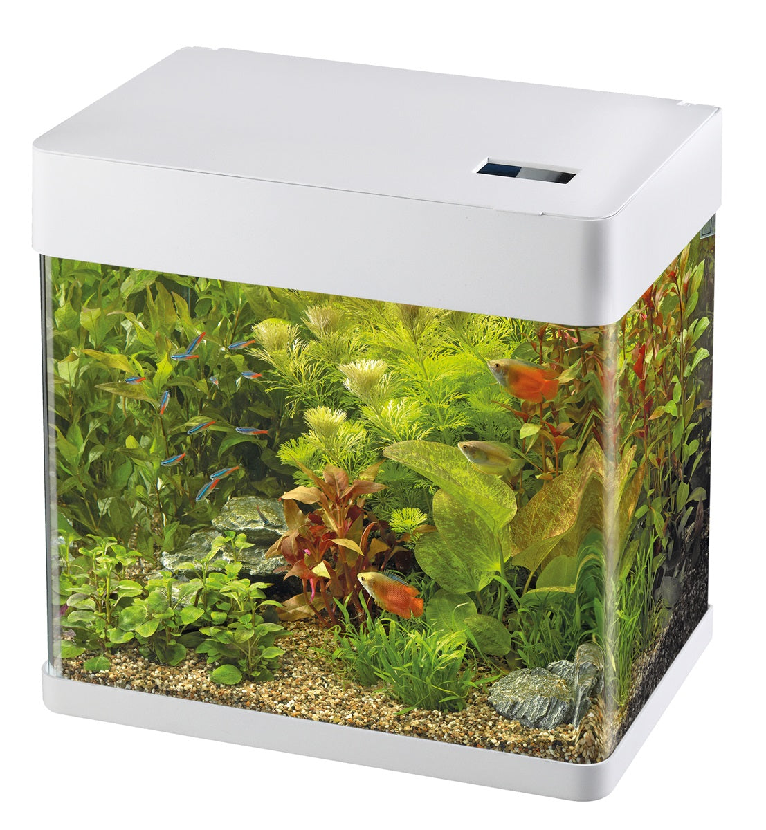 SuperFish Panorama 50 LED Aquarium – 49 Liter