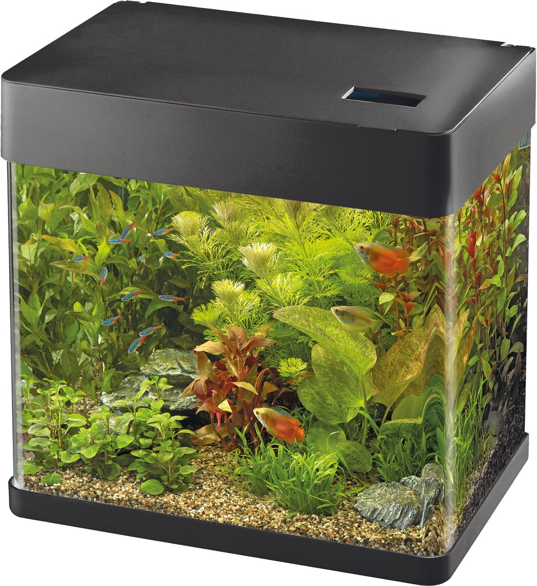 SuperFish Panorama 20 LED Aquarium – 17 Liter