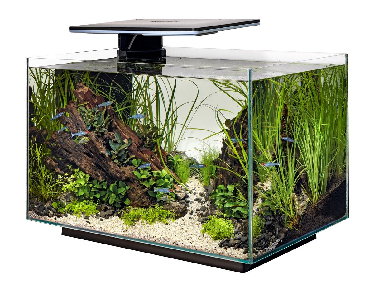 SuperFish Quadro 70 Pro Aquarium – 67 Liter