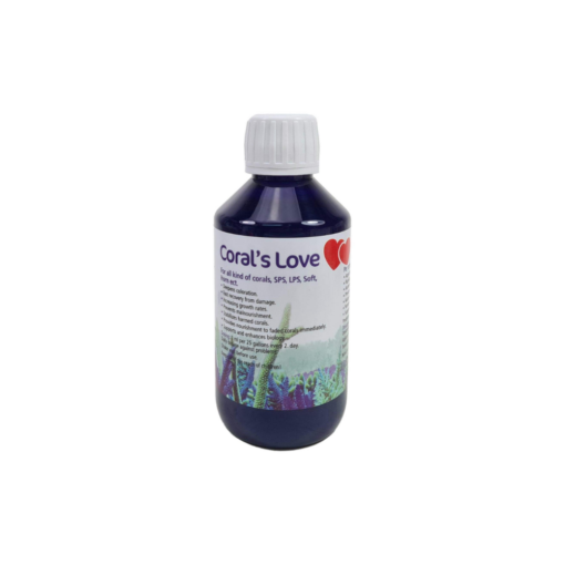 Korallen-Zucht Coral´s Love