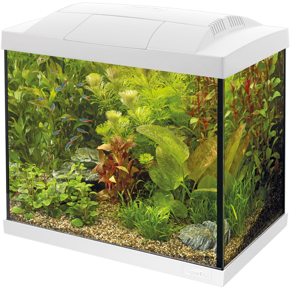 SuperFish Start 20 Aquarium Kit – 16 Liter