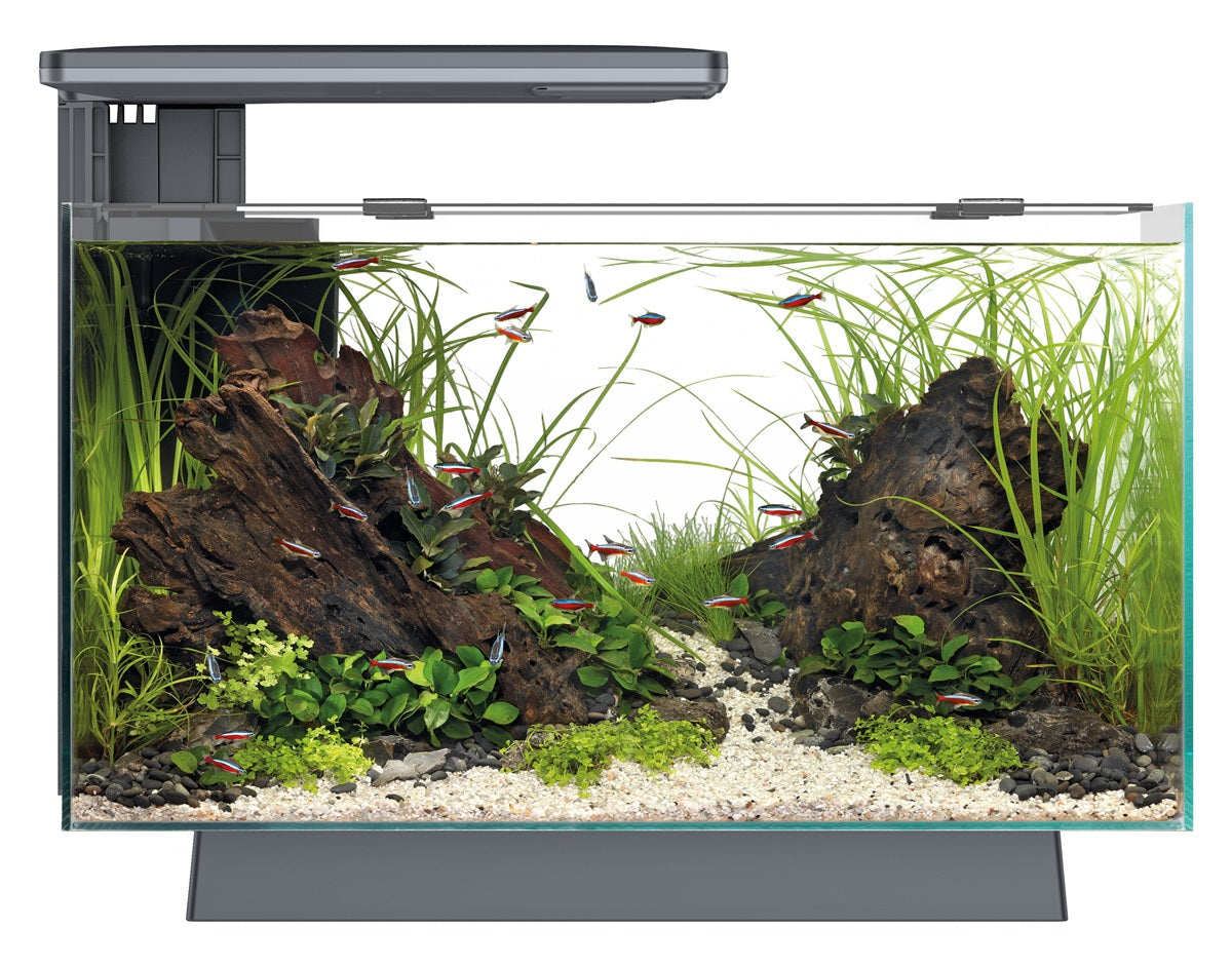 SuperFish Quadro 40 Pro Aquarium – 28 Liter