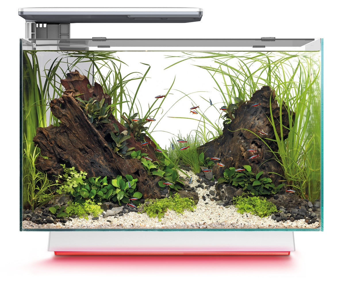 SuperFish Quadro 40 Multi Colour Aquarium – 28 Liter