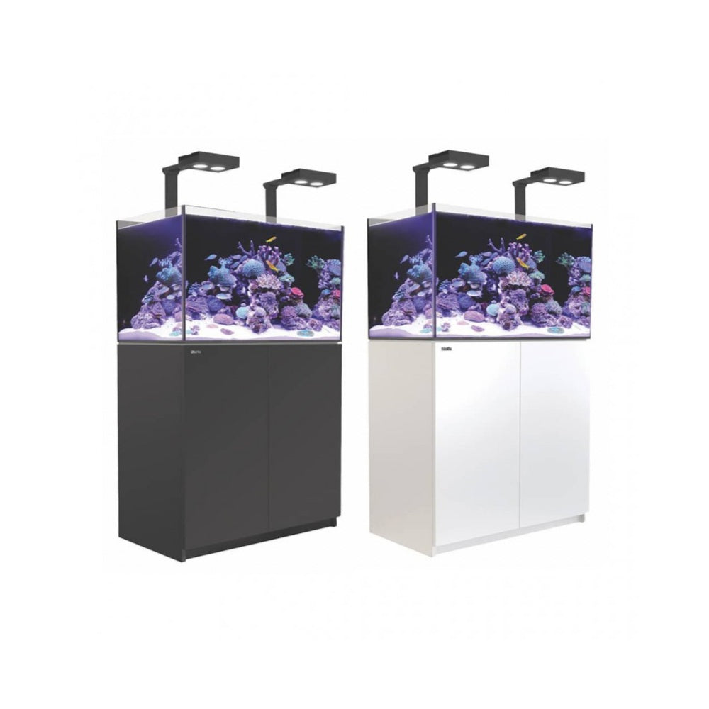 Modernes Meerwasseraquarium mit Unterschrank und LED-Beleuchtung