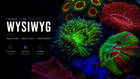 WYSIWYG