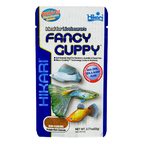 Hikari Fancy Guppy – Produktbild auf weißem Hintergrund