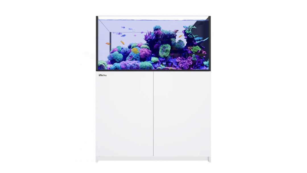 Red Sea Reefer Peninsula G3 500 System Raumteiler (R45221/R45222)