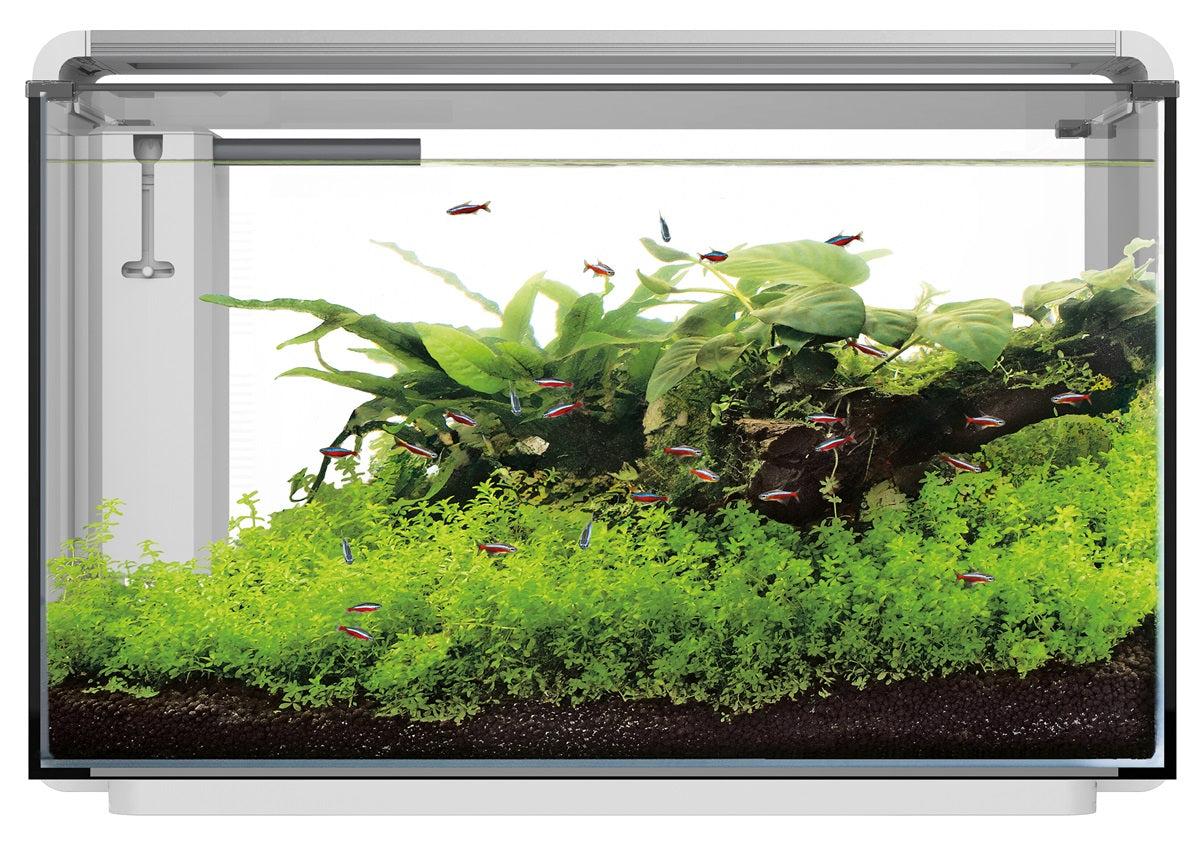 SuperFish Home ProLED 85