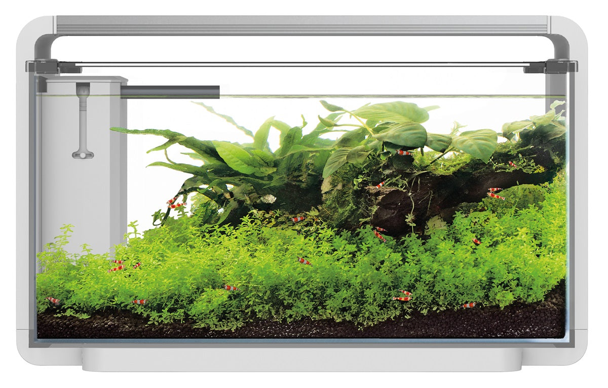 SuperFish Home ProLED 30