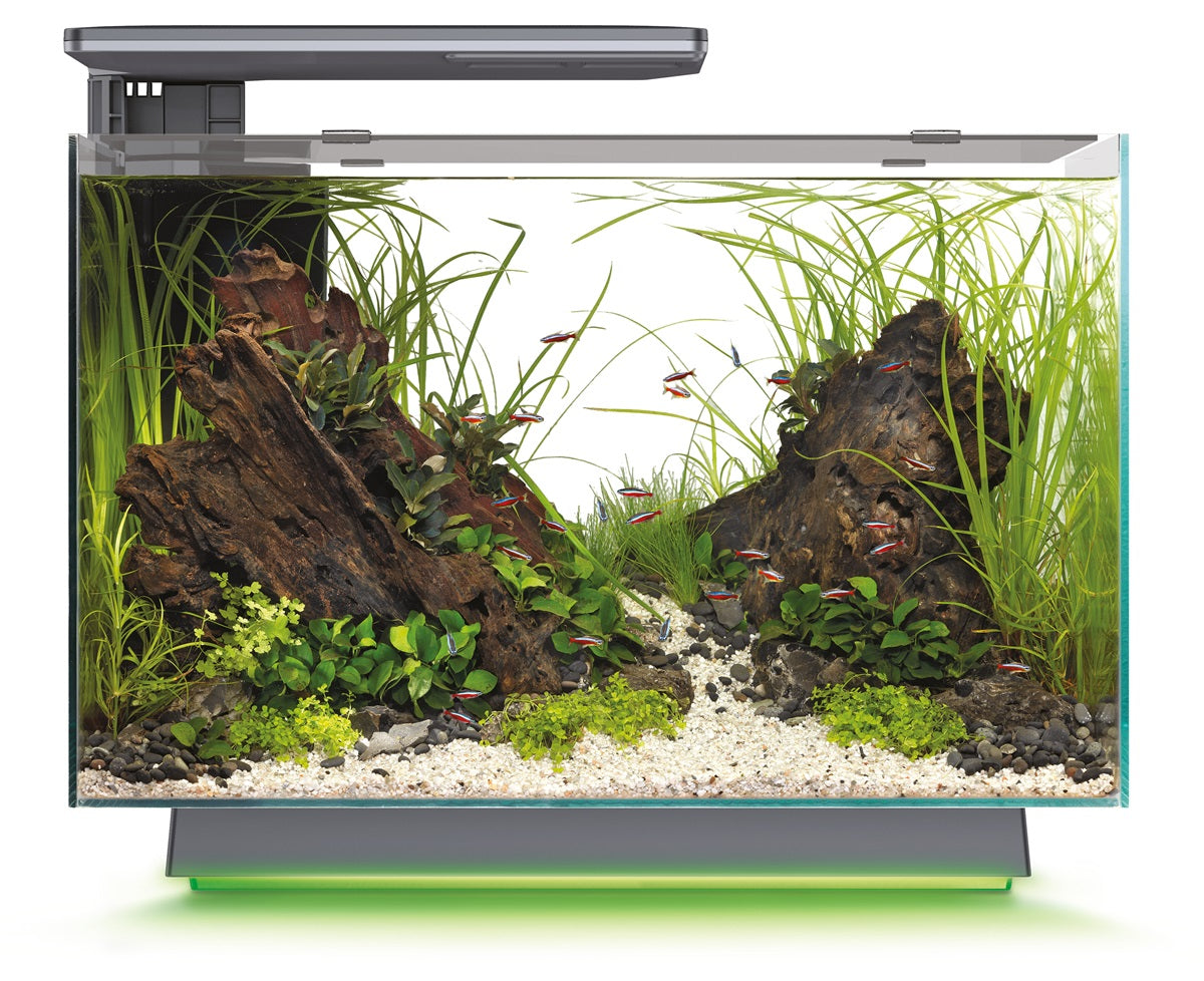 SuperFish Quadro 40 Multi Colour Aquarium – 28 Liter