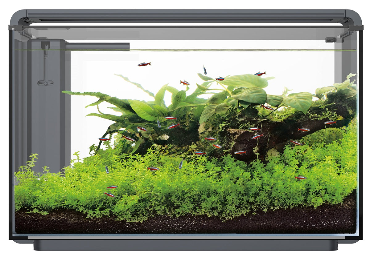 SuperFish Home ProLED 85