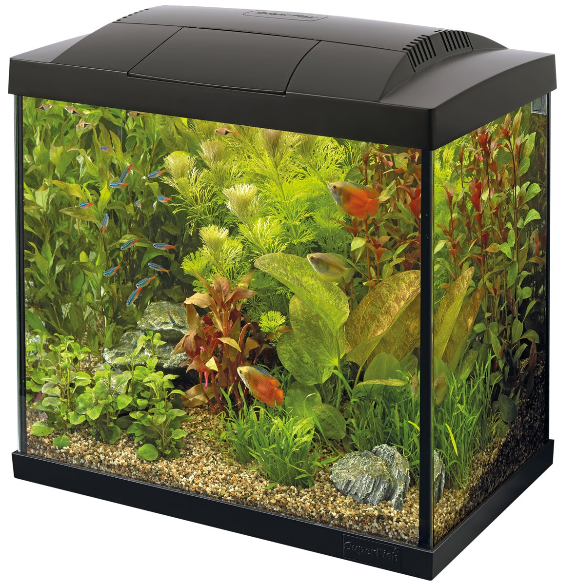SuperFish Start 50 Tropical Kit Aquarium – 40 Liter