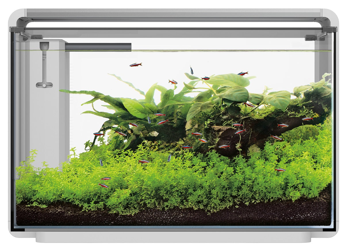 SuperFish Home ProLED 65