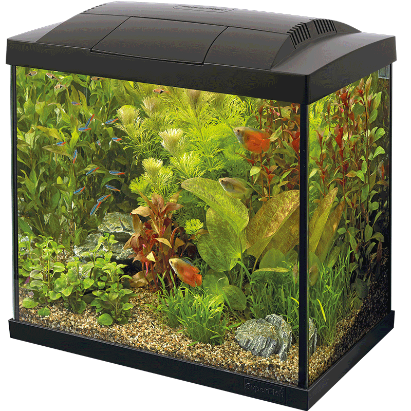 SuperFish Start 30 Tropical Kit Starter-Set