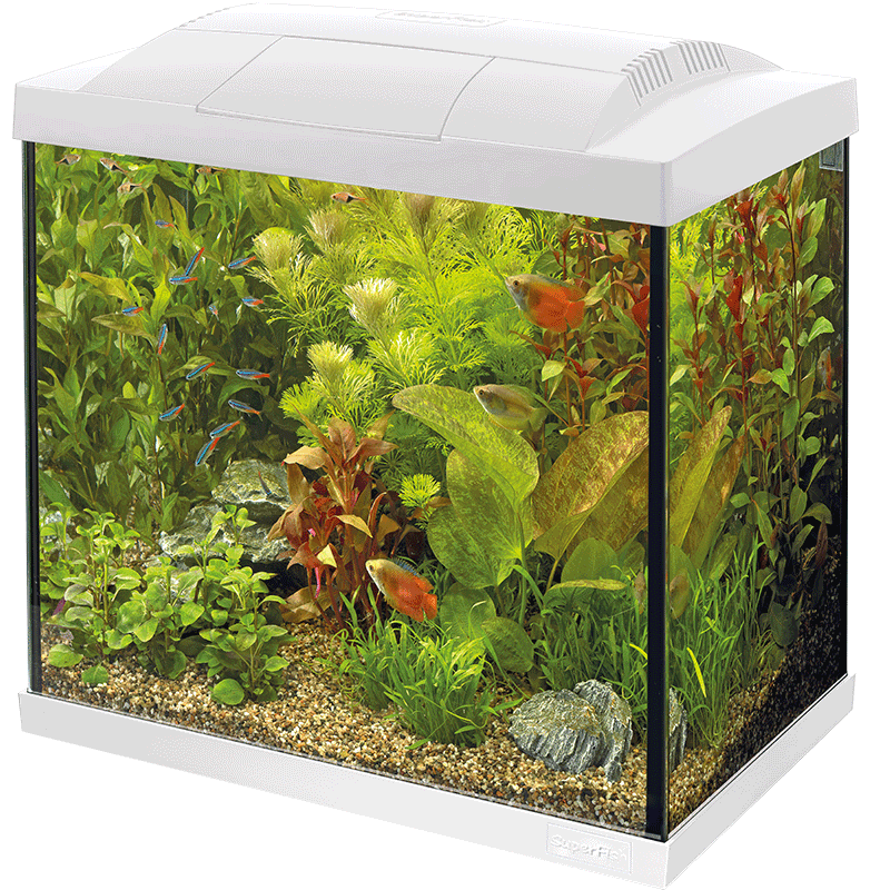SuperFish Start 30 Tropical Kit Starter-Set