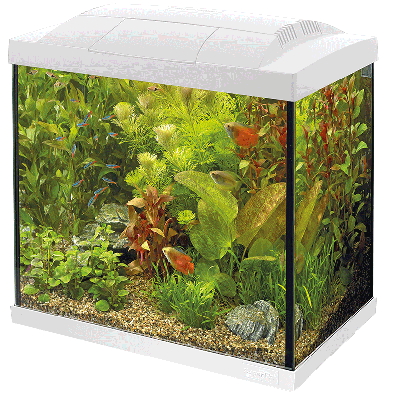 SuperFish Start 50 Tropical Aquarium Kit