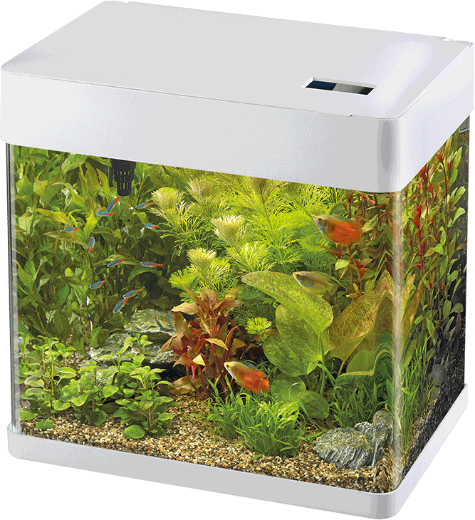SuperFish Panorama 35 LED Aquarium – 30 Liter – Weiß
