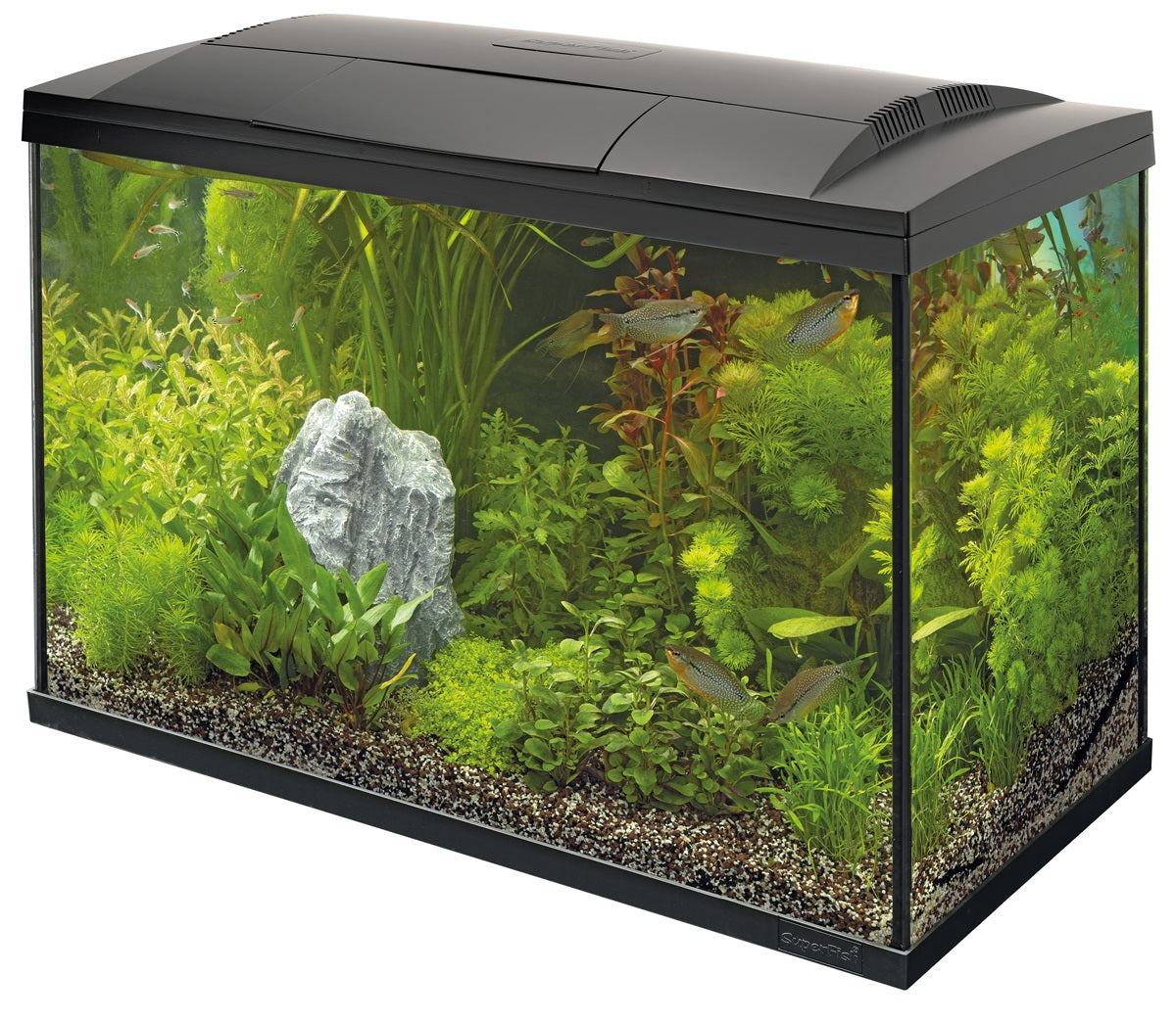 SuperFish Start 150 Tropical Kit Aquarium – 146 Liter