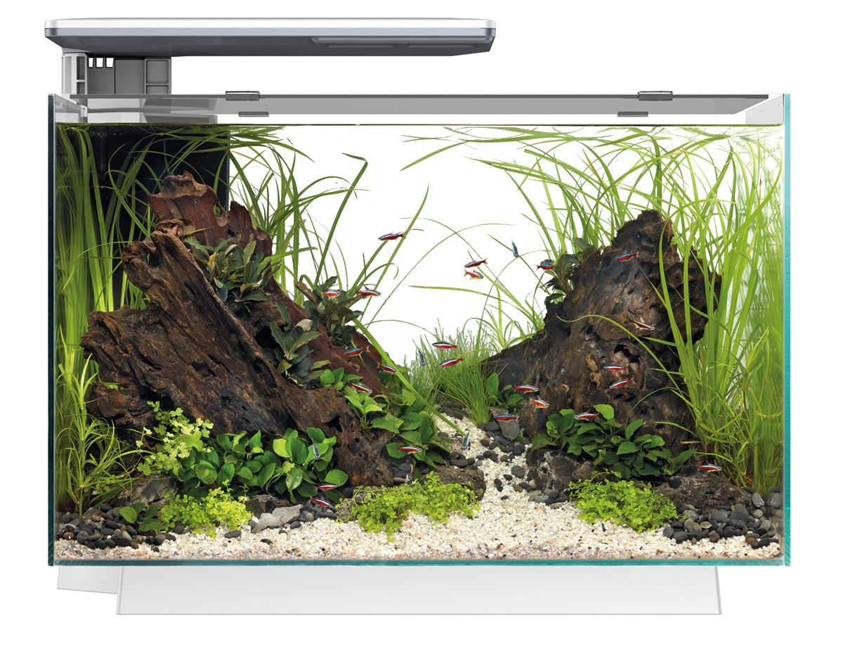 SuperFish Quadro 70 Pro Aquarium – 67 Liter