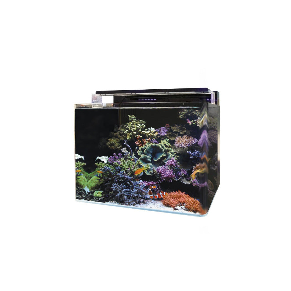 Blue Marin Reef 120