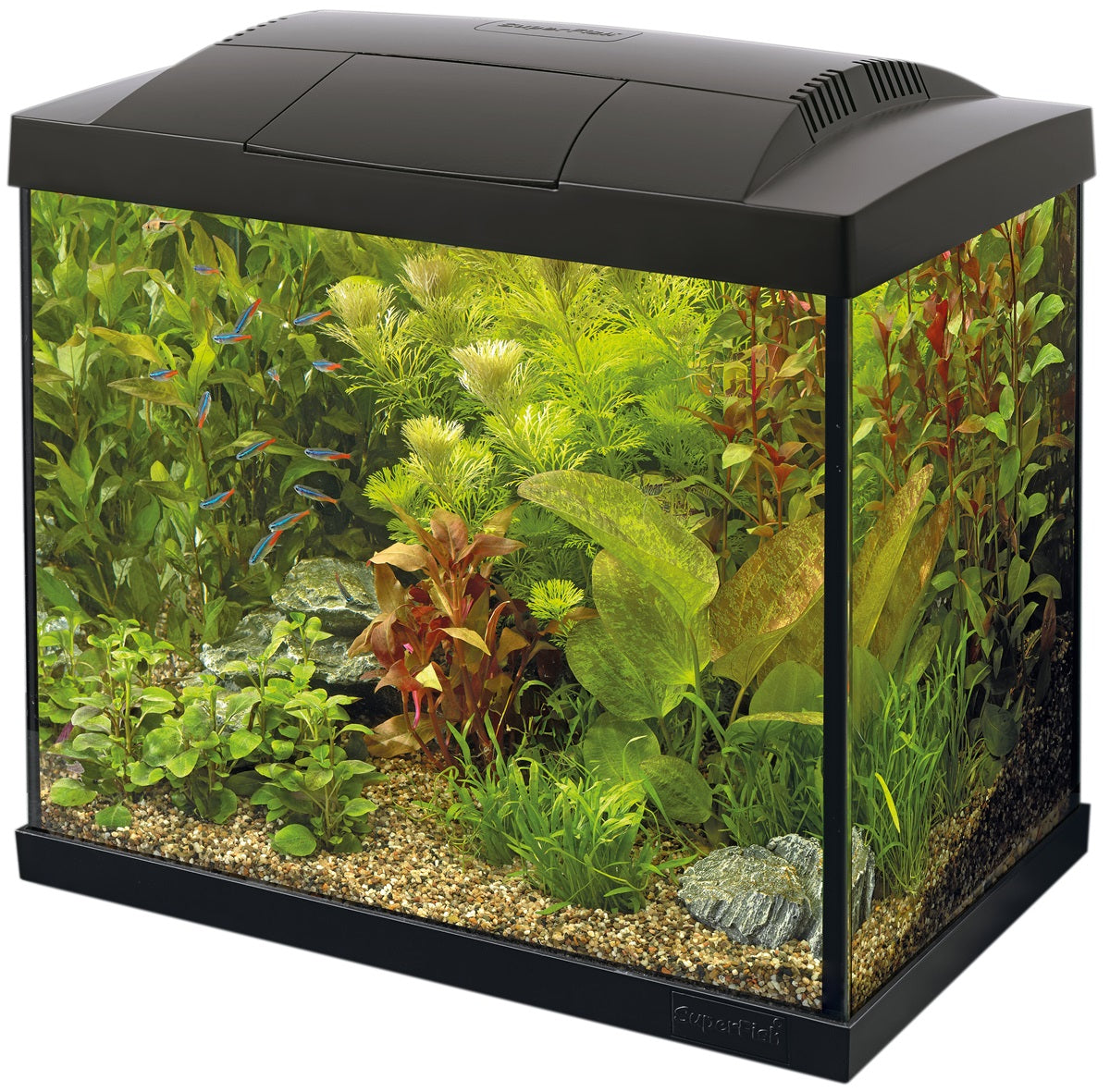 SuperFish Start 20 Aquarium Kit – 16 Liter