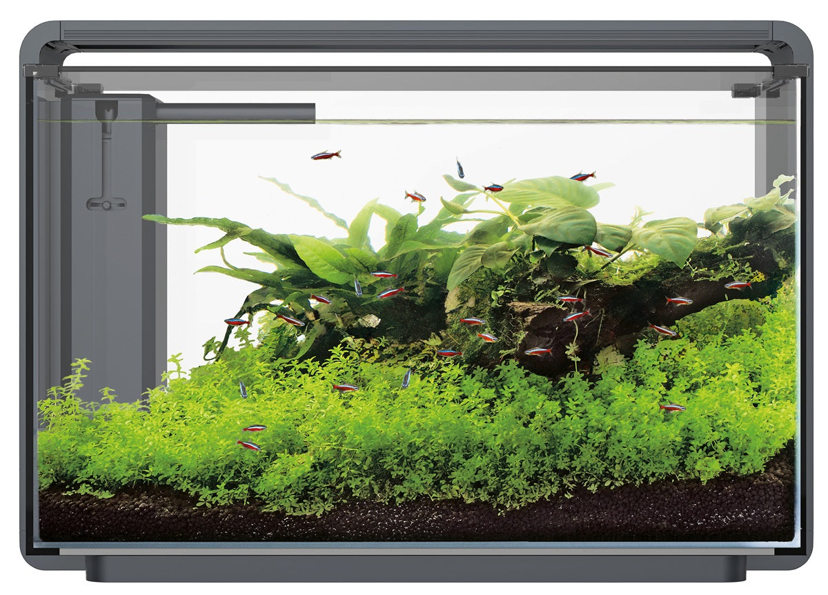 SuperFish Home ProLED 65