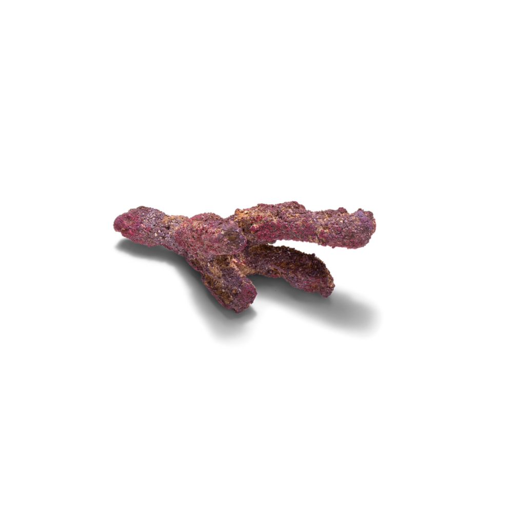 CaribSea LifeRock Belize Branch 9,07 kg