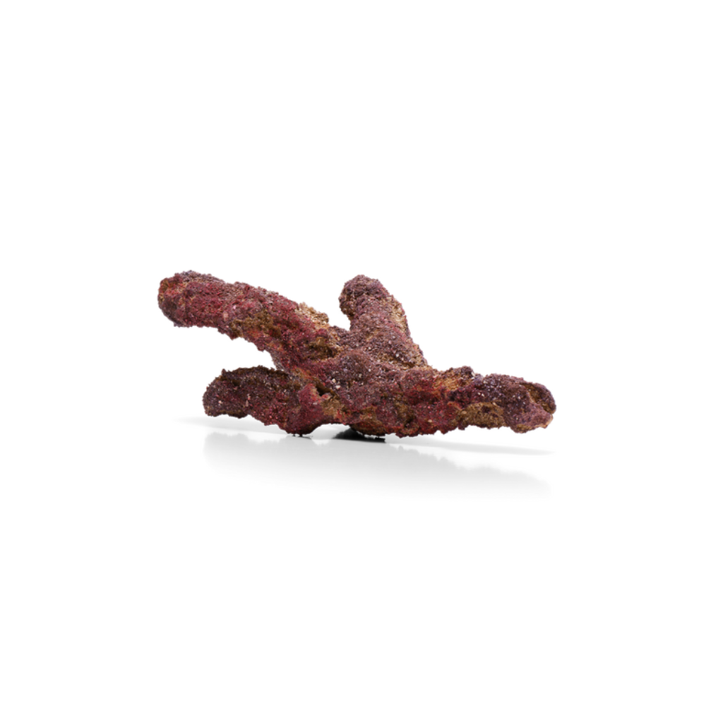 CaribSea LifeRock Belize Branch 9,07 kg