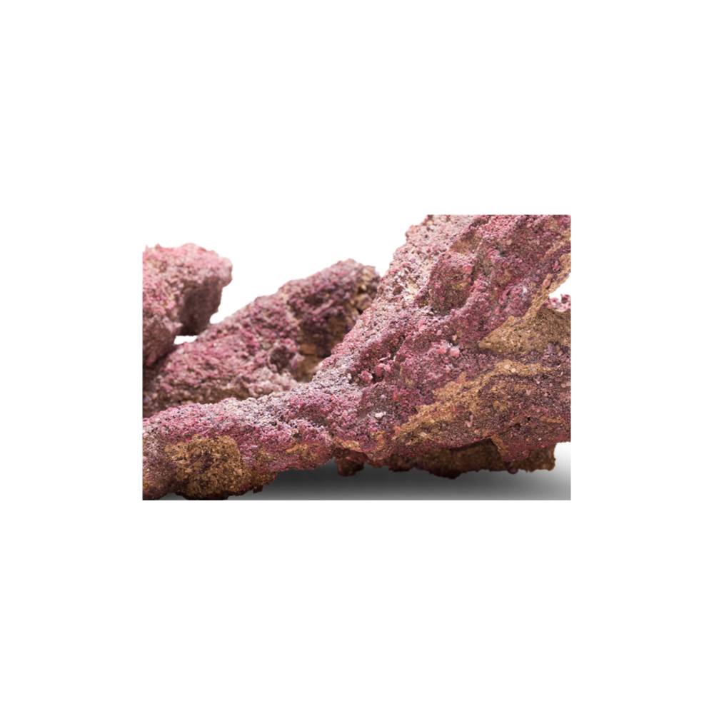 CaribSea LifeRock Belize Branch 9,07 kg