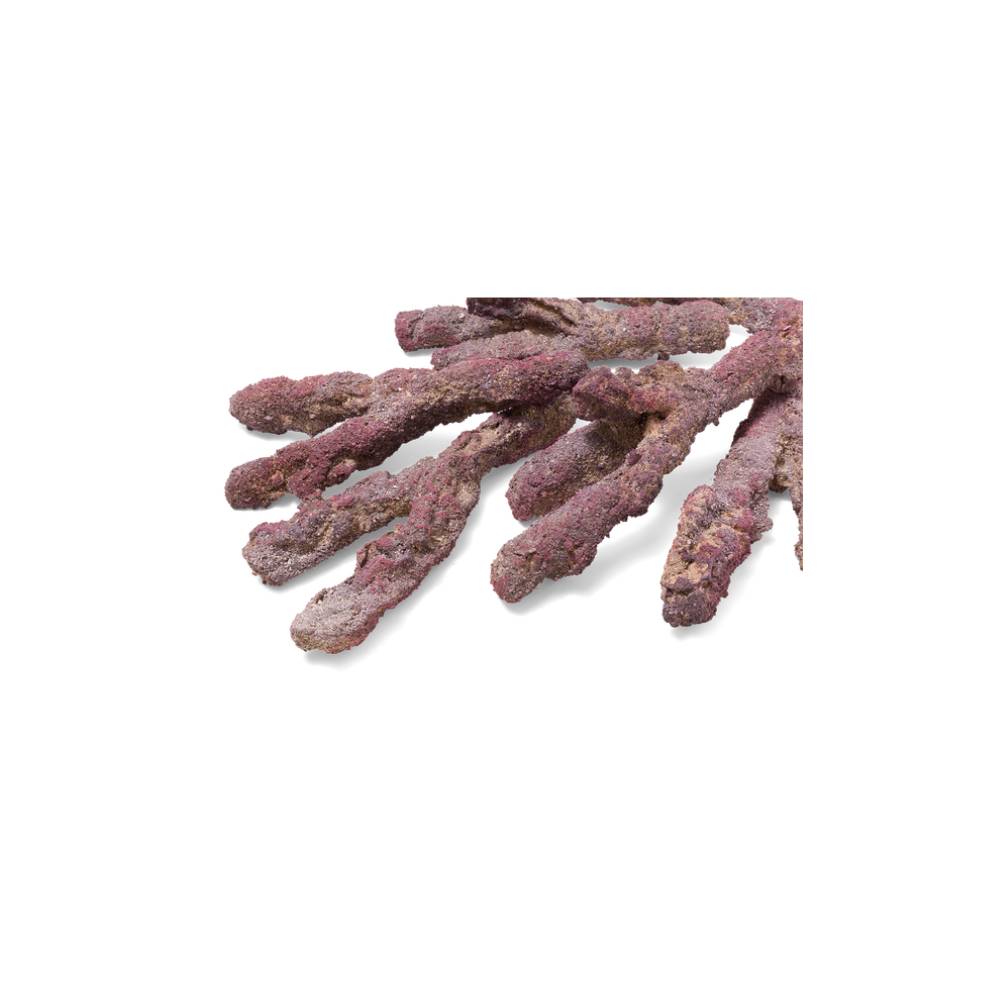 CaribSea LifeRock Belize Branch 9,07 kg