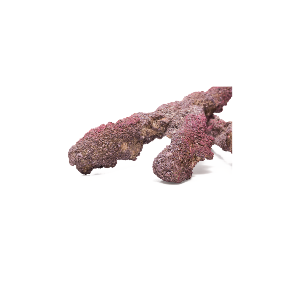 CaribSea LifeRock Belize Branch 9,07 kg