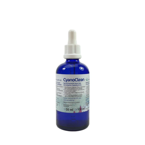 Korallen-Zucht CyanoClean