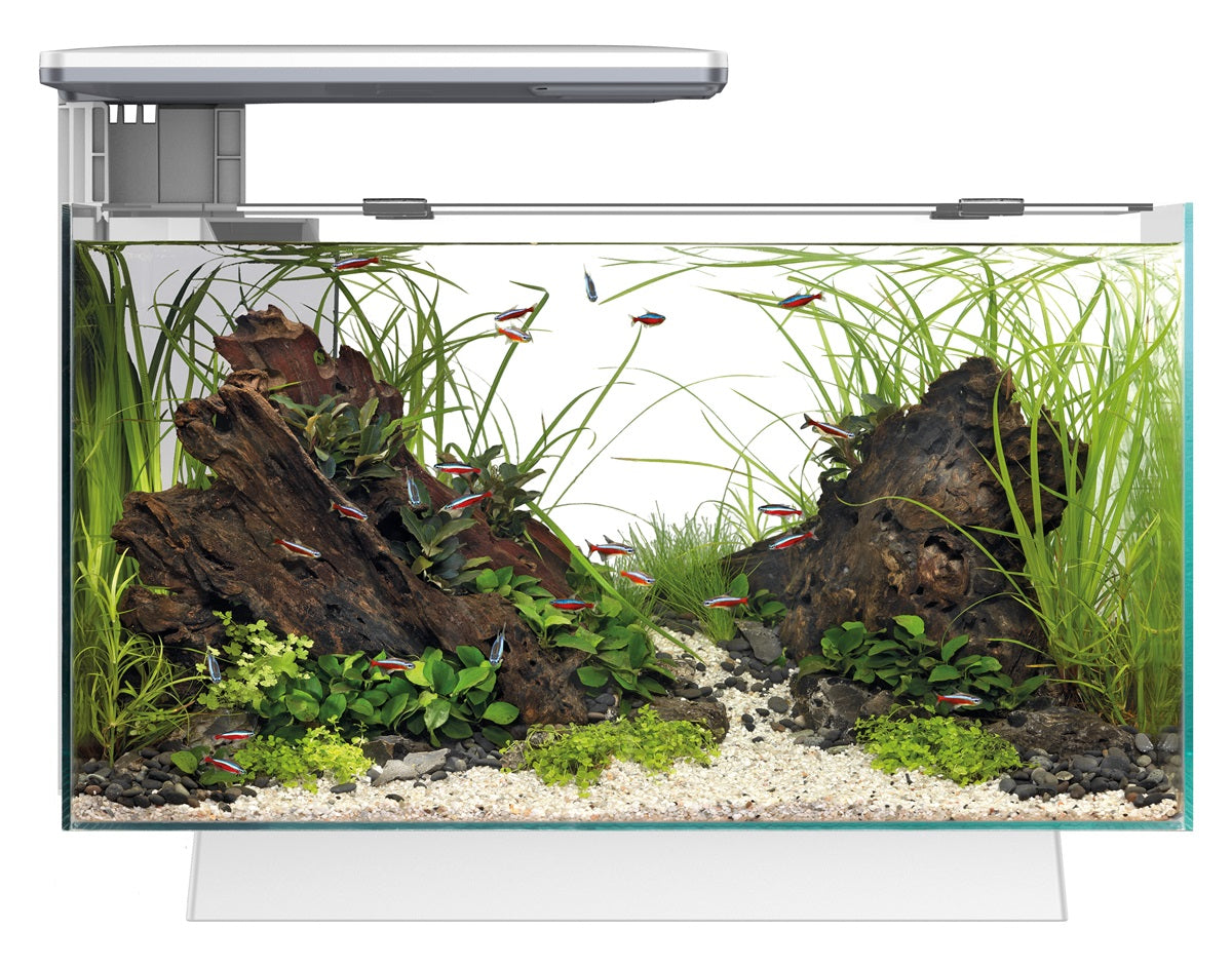 SuperFish Quadro 40 Pro Aquarium – 28 Liter