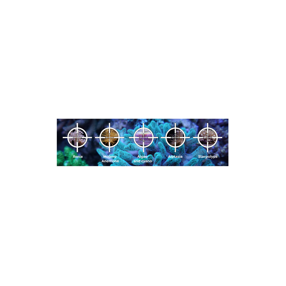 ITC Reef Delete – UV-C Pest Control Light
