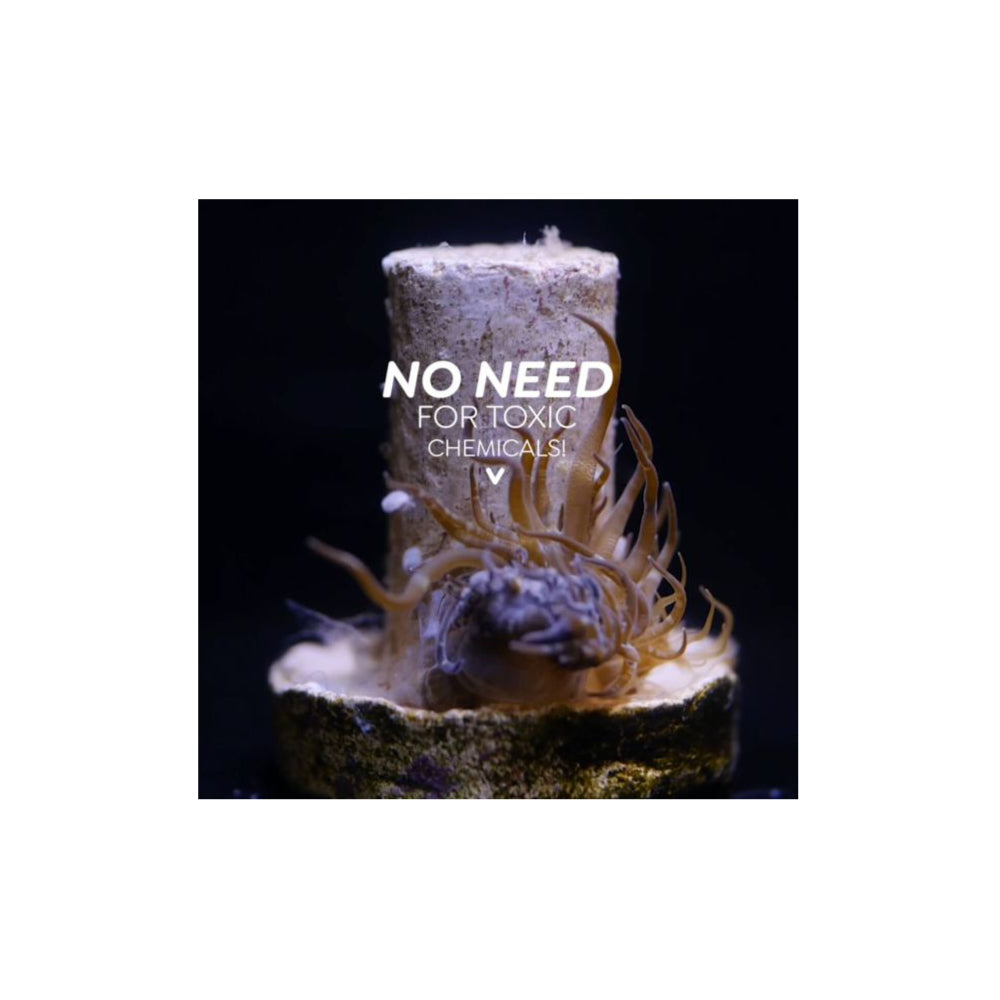 ITC Reef Delete – UV-C Pest Control Light