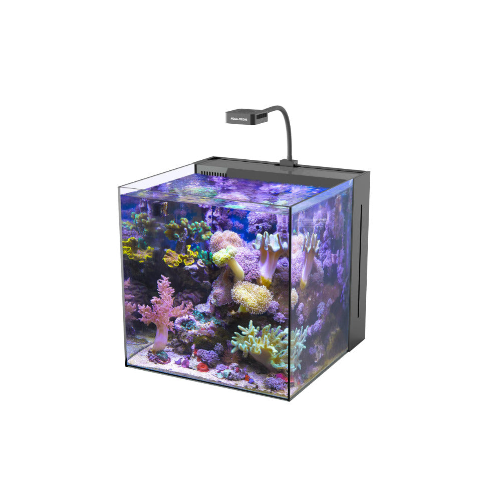 Aqua Medic Meerwasser-Komplettbecken – Yasha 70