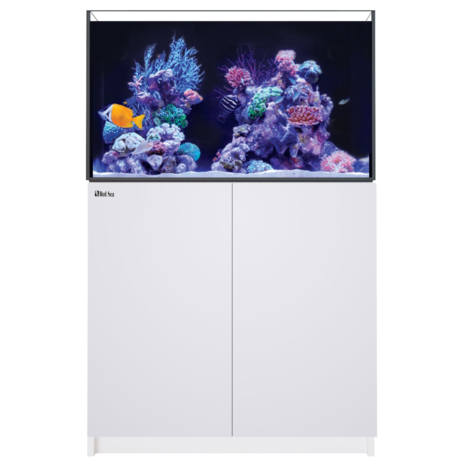 Red Sea REEFER 250 G3