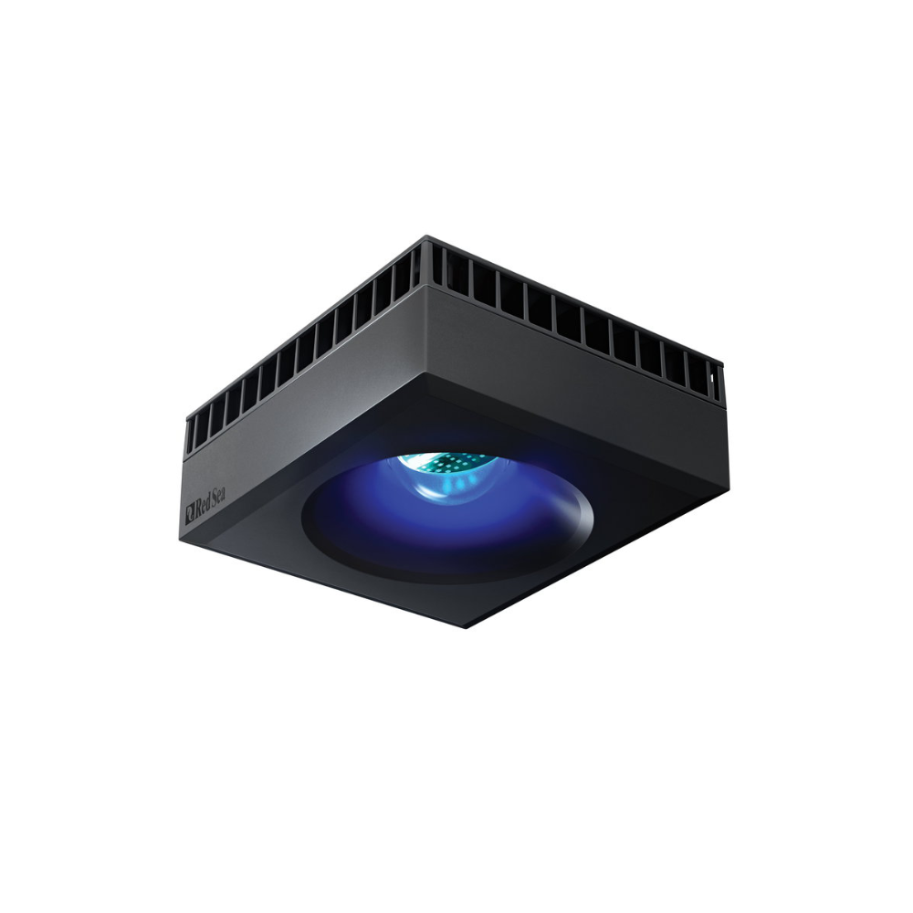 Red Sea Reefer MAX Peninsula 950 G2+ System, Raumteiler Schwarz und Weiß