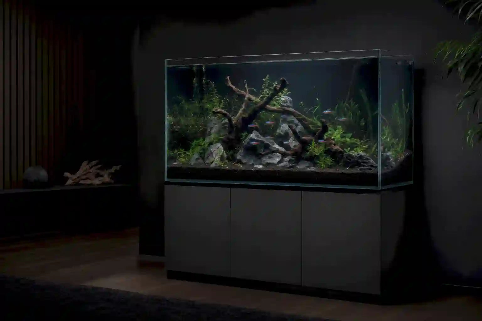 Aquarien & Sets
