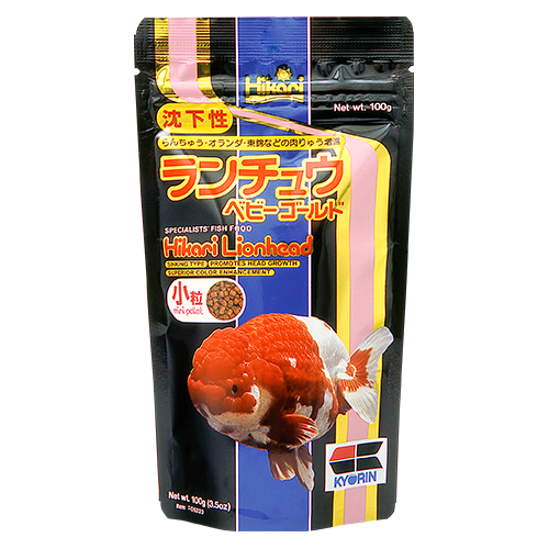 Hikari Lionhead Mini – Produktbild auf weißem Hintergrund