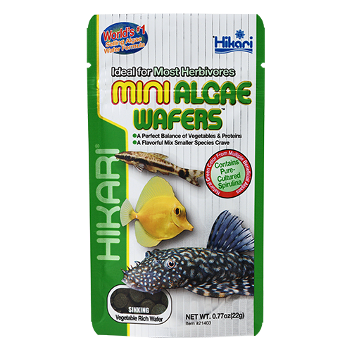 Hikari Mini Algae Wafers – Produktbild auf weißem Hintergrund