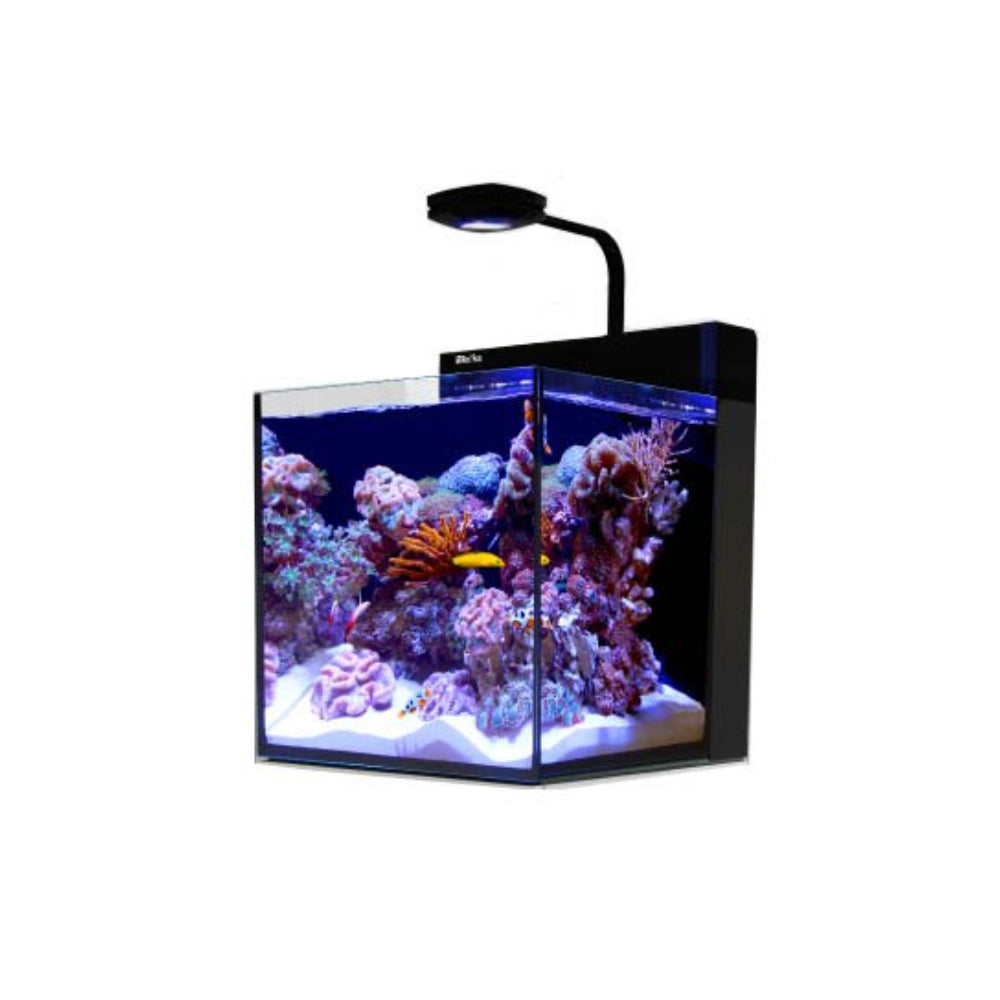 Red Sea Max Nano Cube