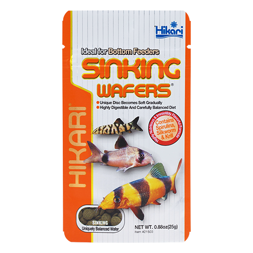Hikari Sinking Wafers – Produktbild auf weißem Hintergrund