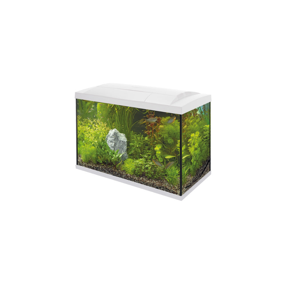 Superfish Aquarium Start 100 Tropical Kit Weiss