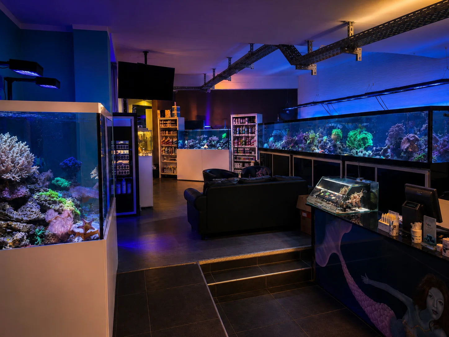 Aquatropica Showroom in Köln